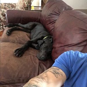 Meet your Posher, Aaron